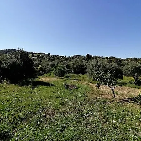 Casa La Liccia Country house